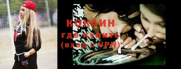 прущие грибы Баксан