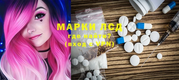 прущие грибы Баксан