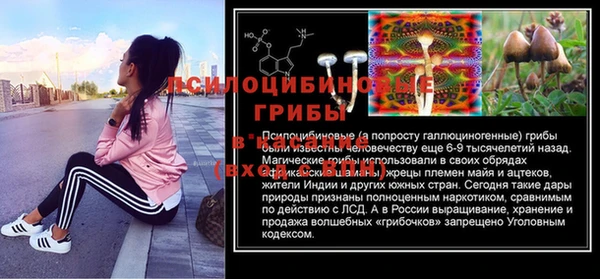 дживик Балахна