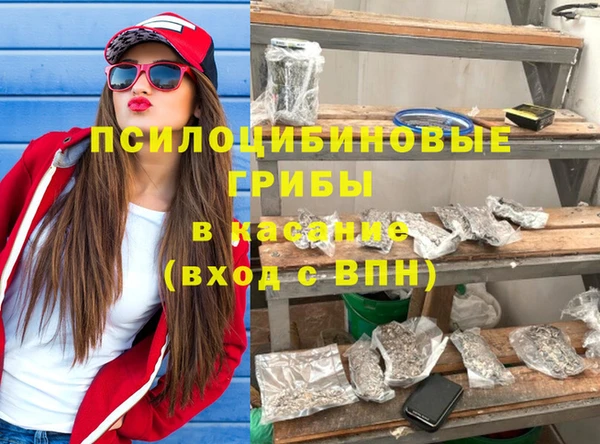 дживик Балахна