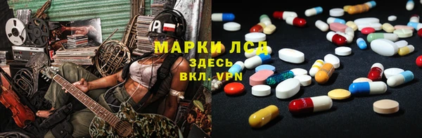 прущие грибы Баксан