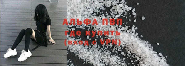 прущие грибы Баксан